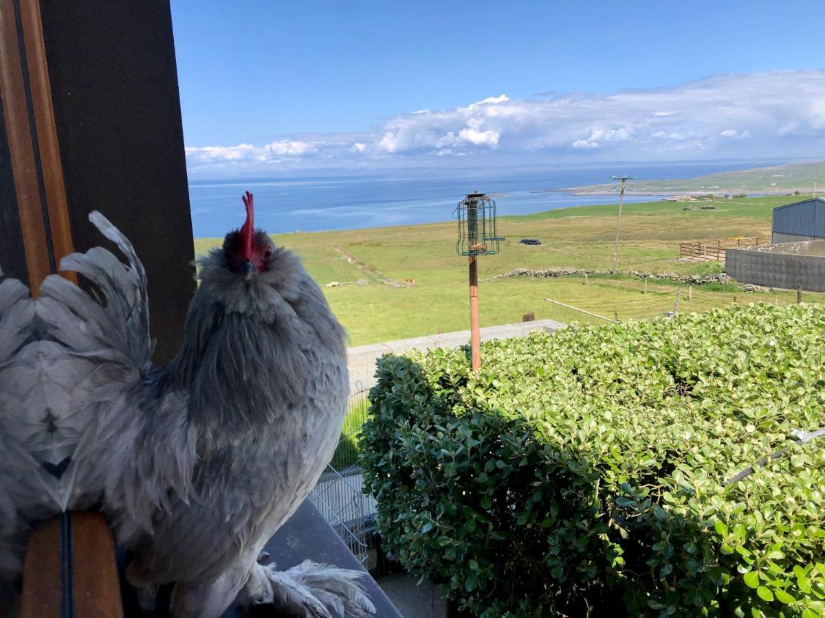 Ocean View Guestrooms Doolin Zewnętrze zdjęcie