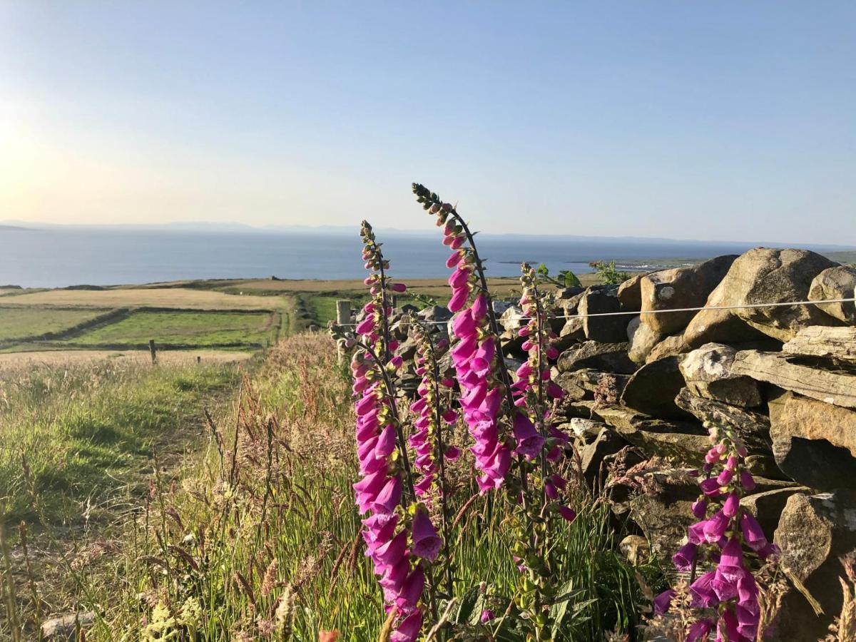 Ocean View Guestrooms Doolin Zewnętrze zdjęcie