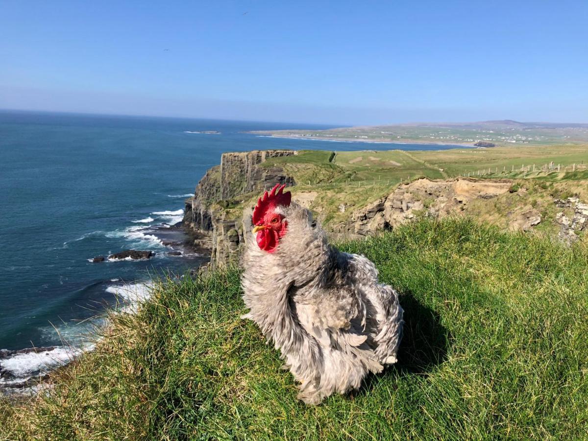 Ocean View Guestrooms Doolin Zewnętrze zdjęcie